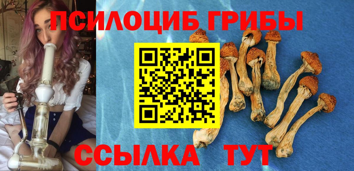 Галлюциногенные грибы GOLDEN TEACHER  как найти закладки  Балашиха  Вход с VPN 
